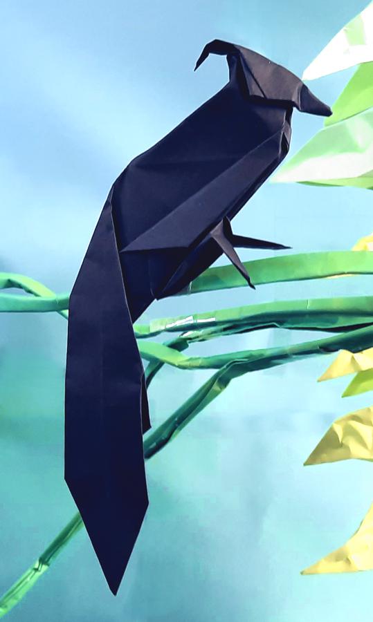 Origami Japanse Paradijsmonarch Origami Japanse Paradijsmonarch