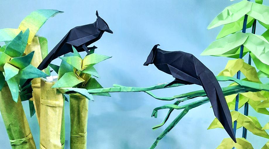 Origami Japanse Paradijsmonarch vogels Origami Japanse Paradijsmonarch vogels