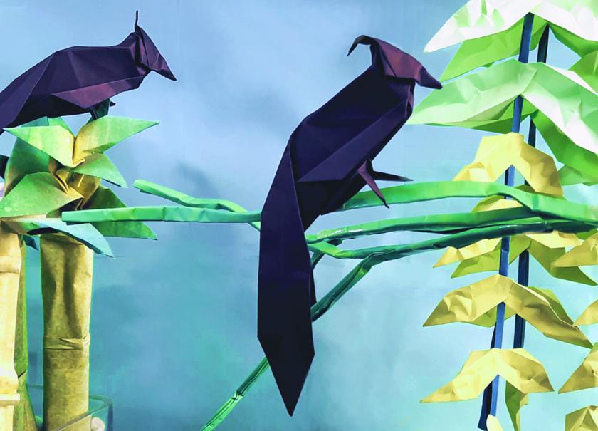 Origami Japanse Vogels