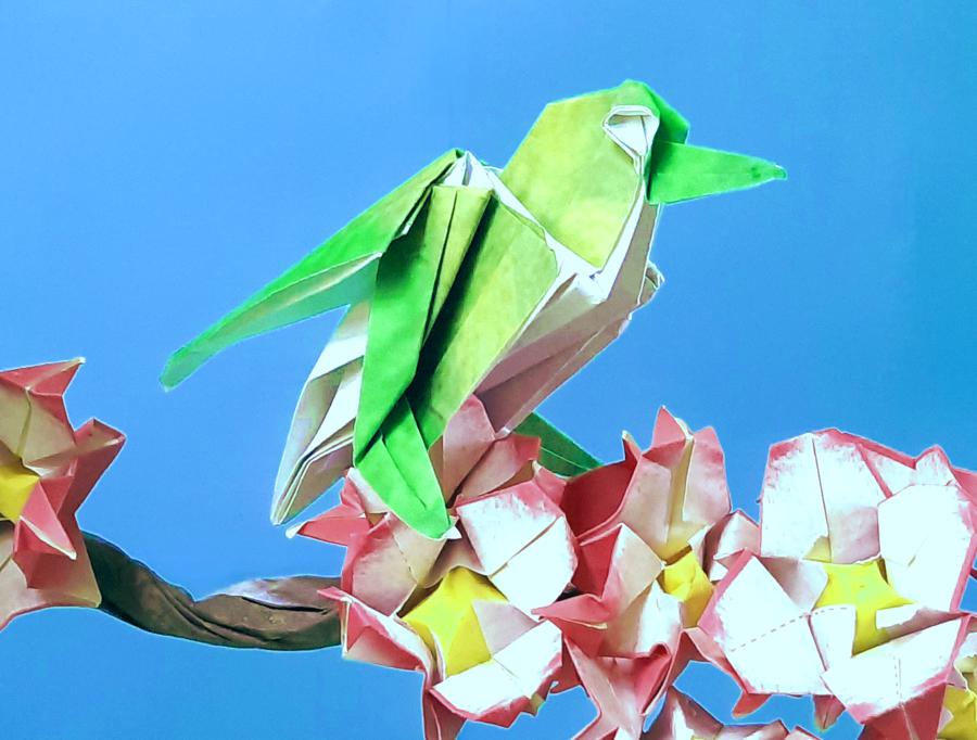 Origami Zangbrilvogel