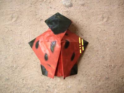 origami lieveheersbeestje origami lieveheersbeestje