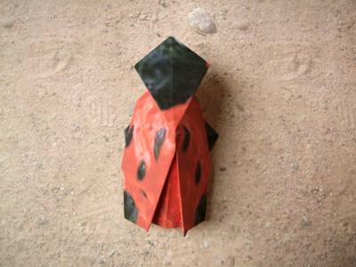 origami lieveheersbeestje origami lieveheersbeestje