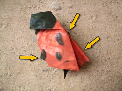 origami lieveheersbeestje