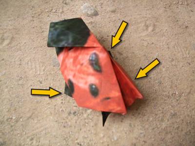 origami lieveheersbeestje origami lieveheersbeestje