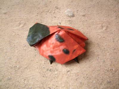 origami ladybug