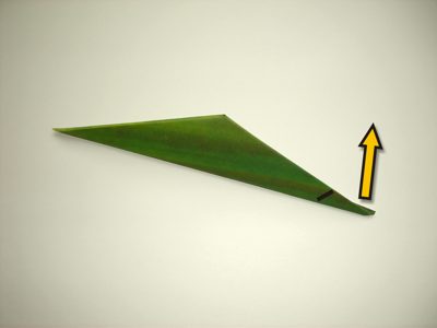 how to fold an easy origami leaf