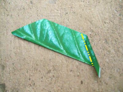 origami leaf