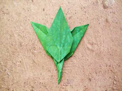 origami blad origami blad