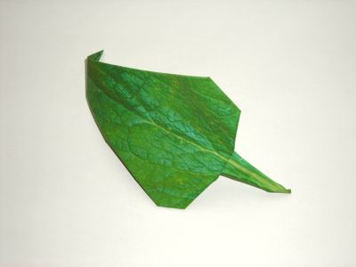 origami leaf