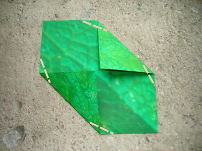 origami leaf