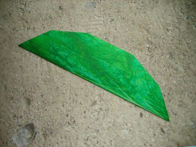 diagrams for a leaf