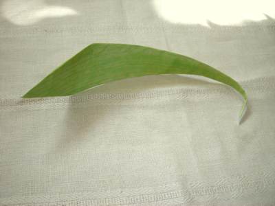 making an origami leaf