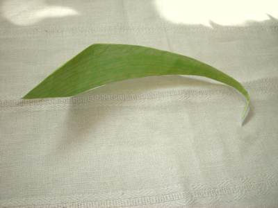 een origami blad maken een origami blad maken
