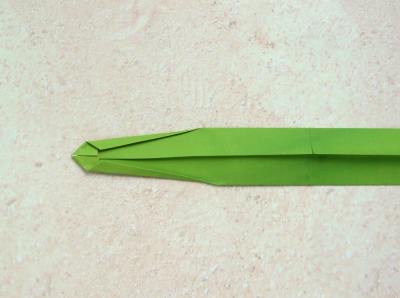 uitleg om het blad van een amaryllis na te maken