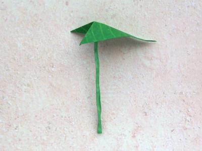 leaf of an origami anthurium