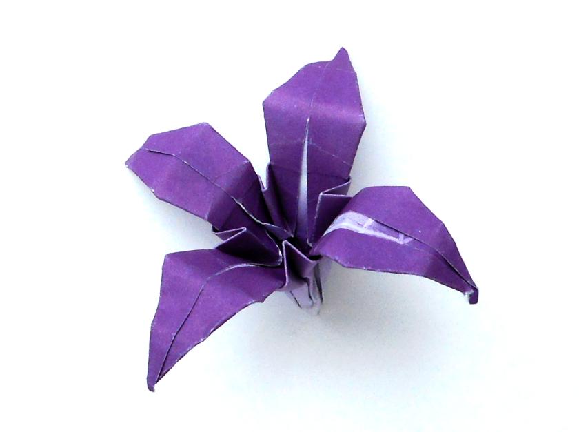 Origami Lily Origami Lily