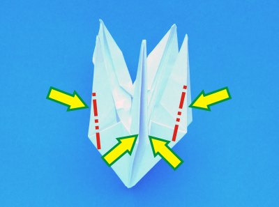 Fold an Origami Lily