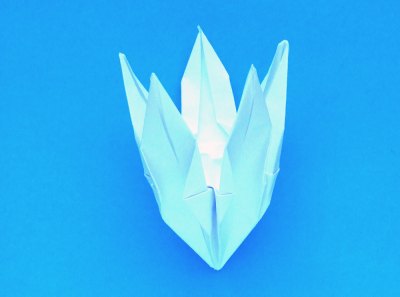 Fold an Origami Lily Fold an Origami Lily