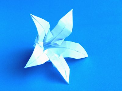 origami lily with five petals