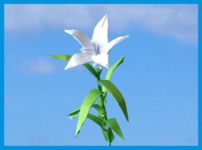 realistic origami lily with five large petals