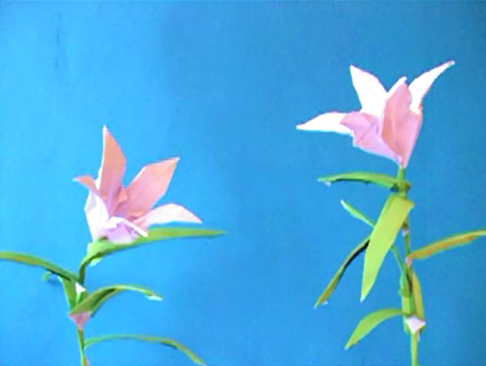 Origami Lilies Origami Lilies