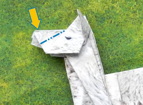 Fold an Origami Llama Fold an Origami Llama