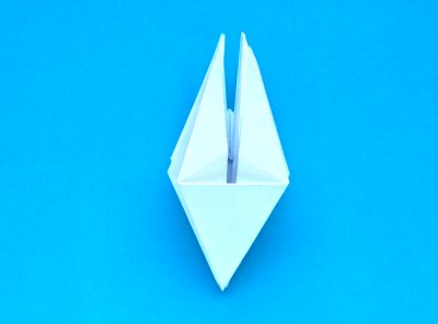 Fold an Origami Lotus flower