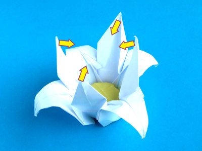 Origami Lotus vouwen