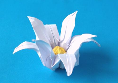 Origami Lotus Bloem