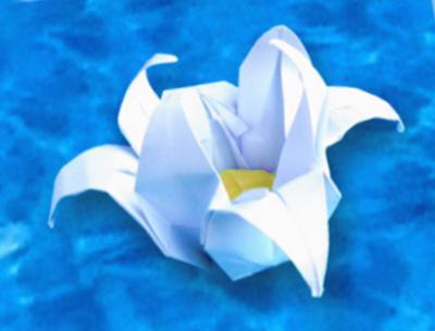 Origami Lotus Flower Origami Lotus Flower