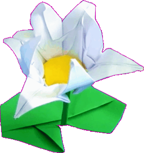 Origami Lotus Flower