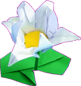 Origami Lotus Flower Origami Lotus Flower