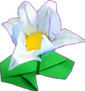 Origami Lotus Bloem