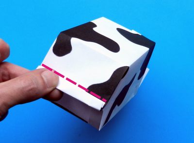 how to fold an origami milk carton