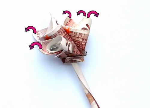 Bloemen vouwen van geld Bloemen vouwen van geld