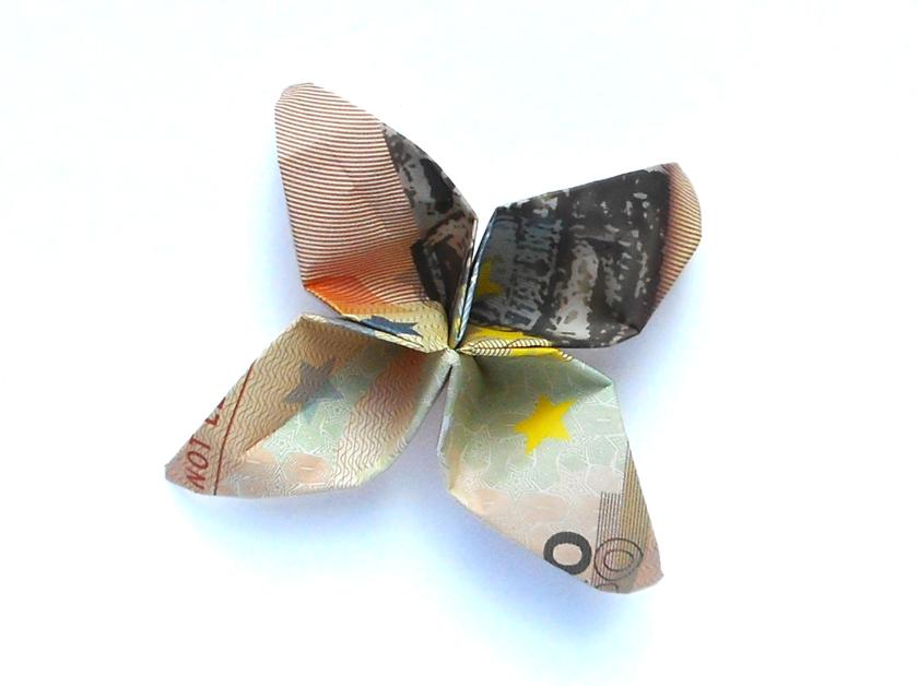 Money Origami Flower