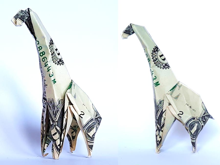 money origami giraffe from Kenya