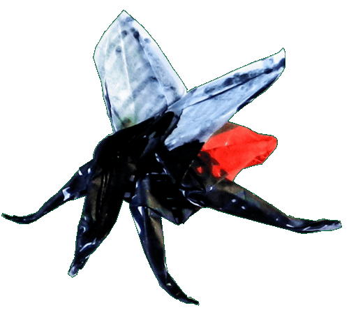 Origami Mosquito