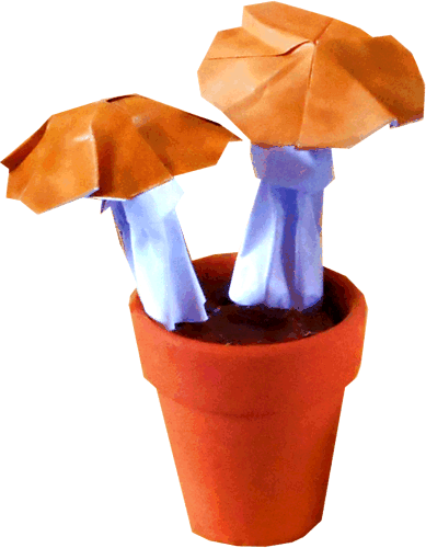 Origami Paddestoelen