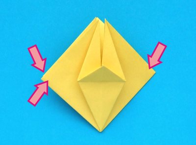 Fold an Origami Narcissus