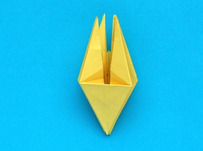 Fold an Origami Narcissus