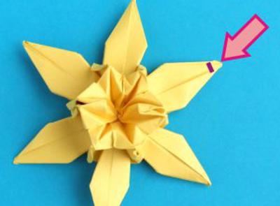 Origami Narcis vouwen