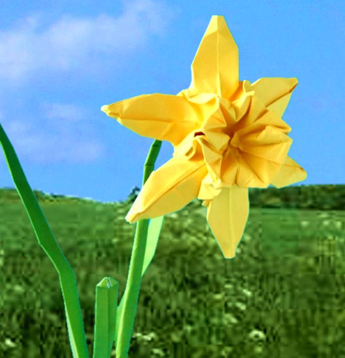 Origami Narcis