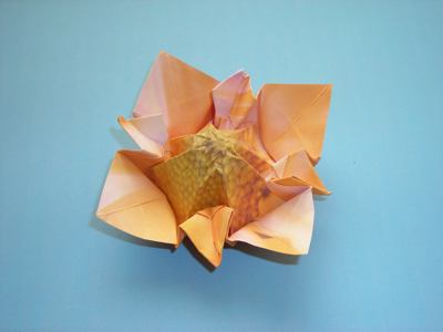 een origami bloem