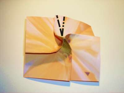 diagrammen voor een origami bloem