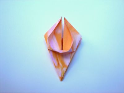 oranje bloemetje oranje bloemetje