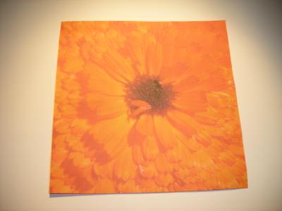 origami paper with flower texture