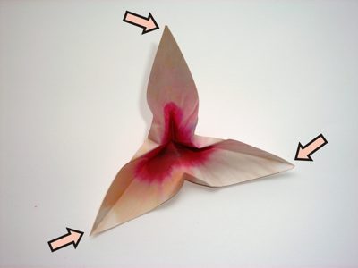 diagrams for a flower diagrams for a flower