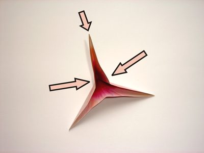diagrams for a flower diagrams for a flower