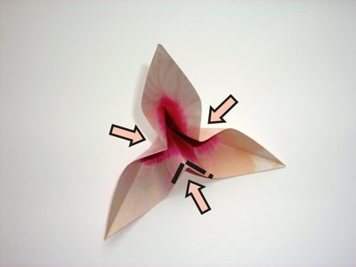 diagrams for a flower diagrams for a flower